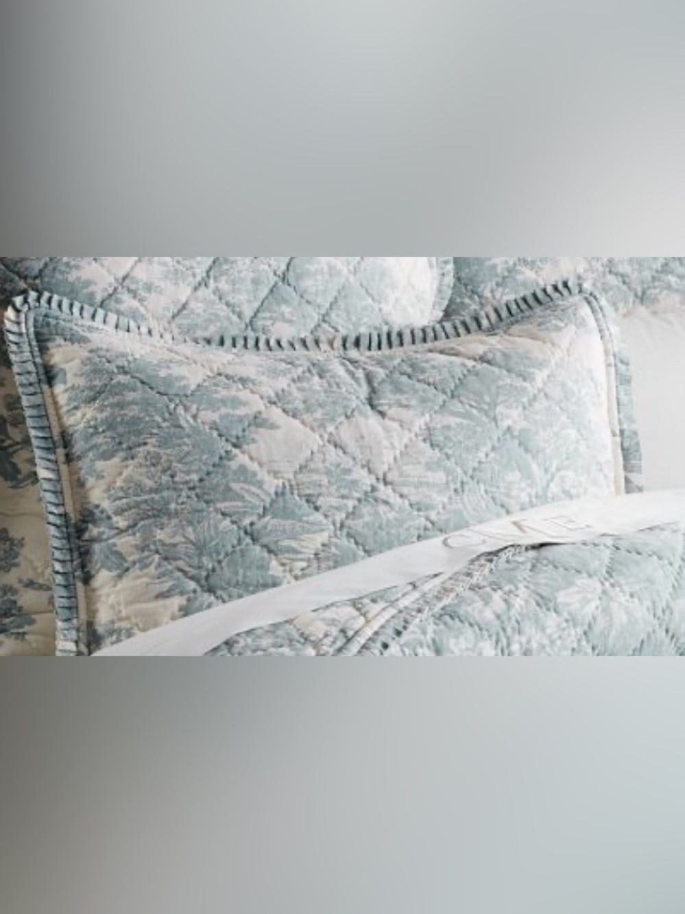 Pottery Barn Matine Toile Quilted Sham-Standard cream/green